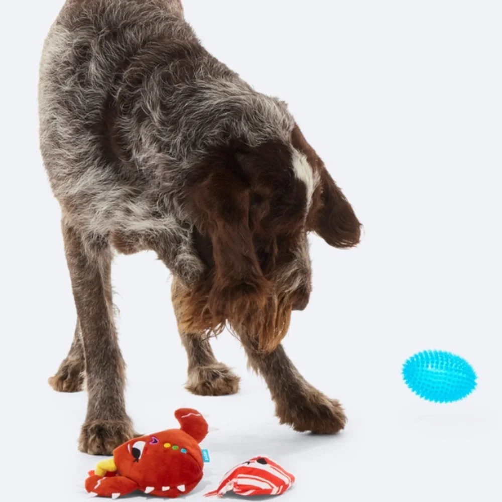 Bark box super chewer M-L Dog Toy Consuela the cookie cactus rip & reveal NEW
